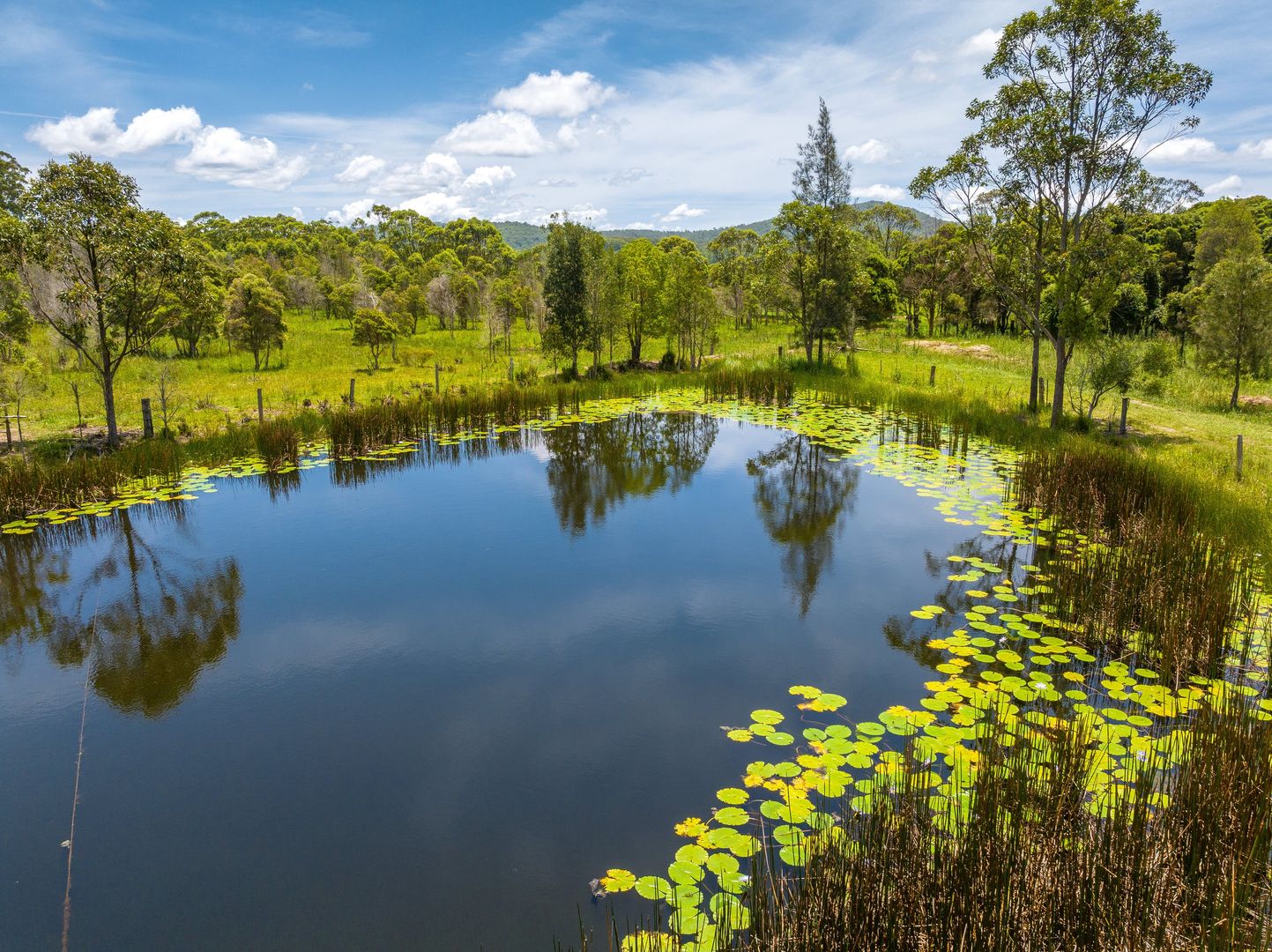 20 Forest Road, Moorland NSW 2443 House for Sale Domain