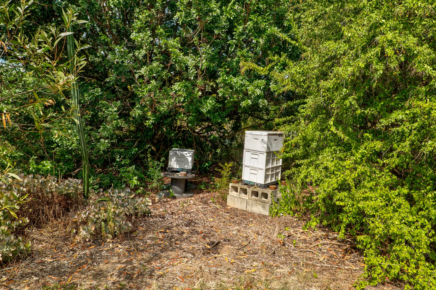 Additional image 27 of 53 West View Cresent, Prenzlau QLD 4311