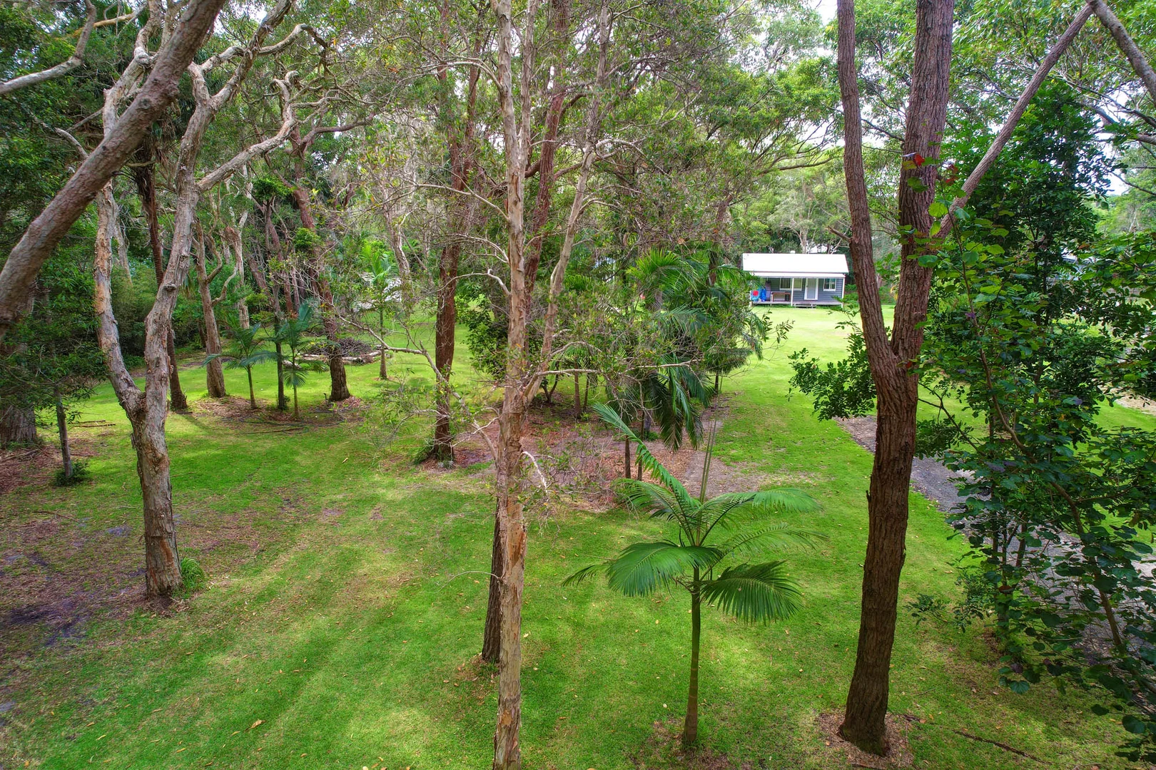 Image 9