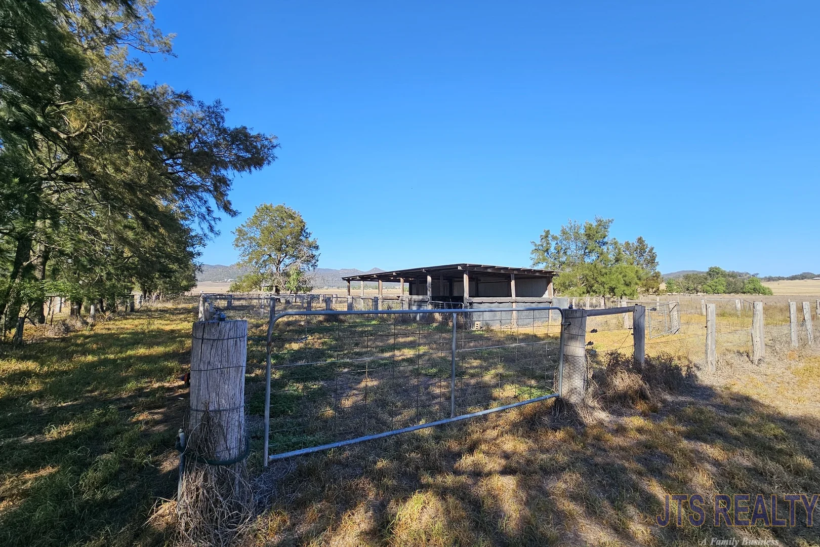 Image 13