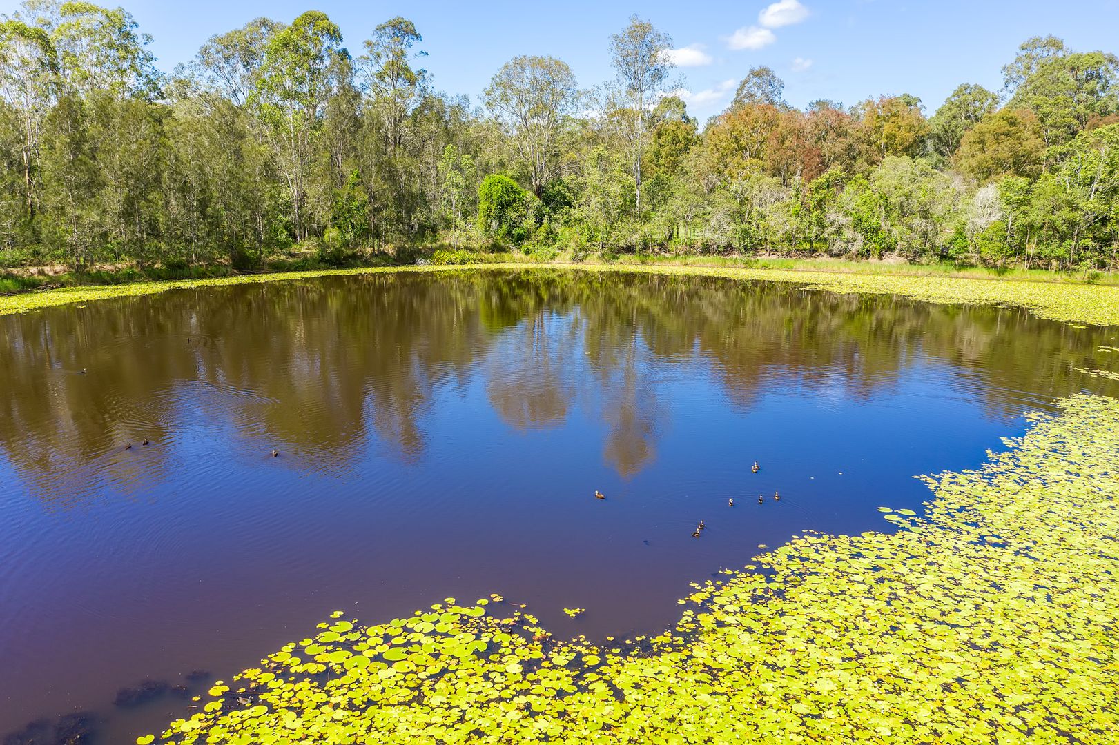 6-8 McPherson Road, Chambers Flat QLD 4133, Image 1