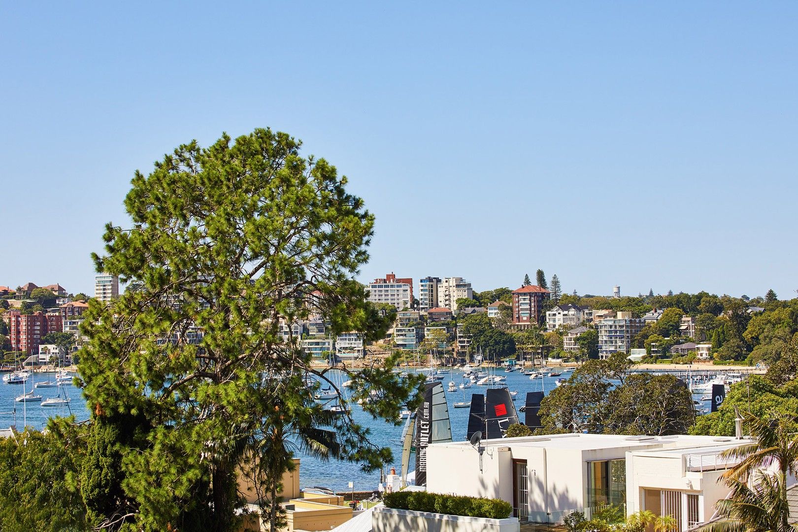 1/8 Marathon Rd, Darling Point NSW 2027 Apartment For Rent Domain