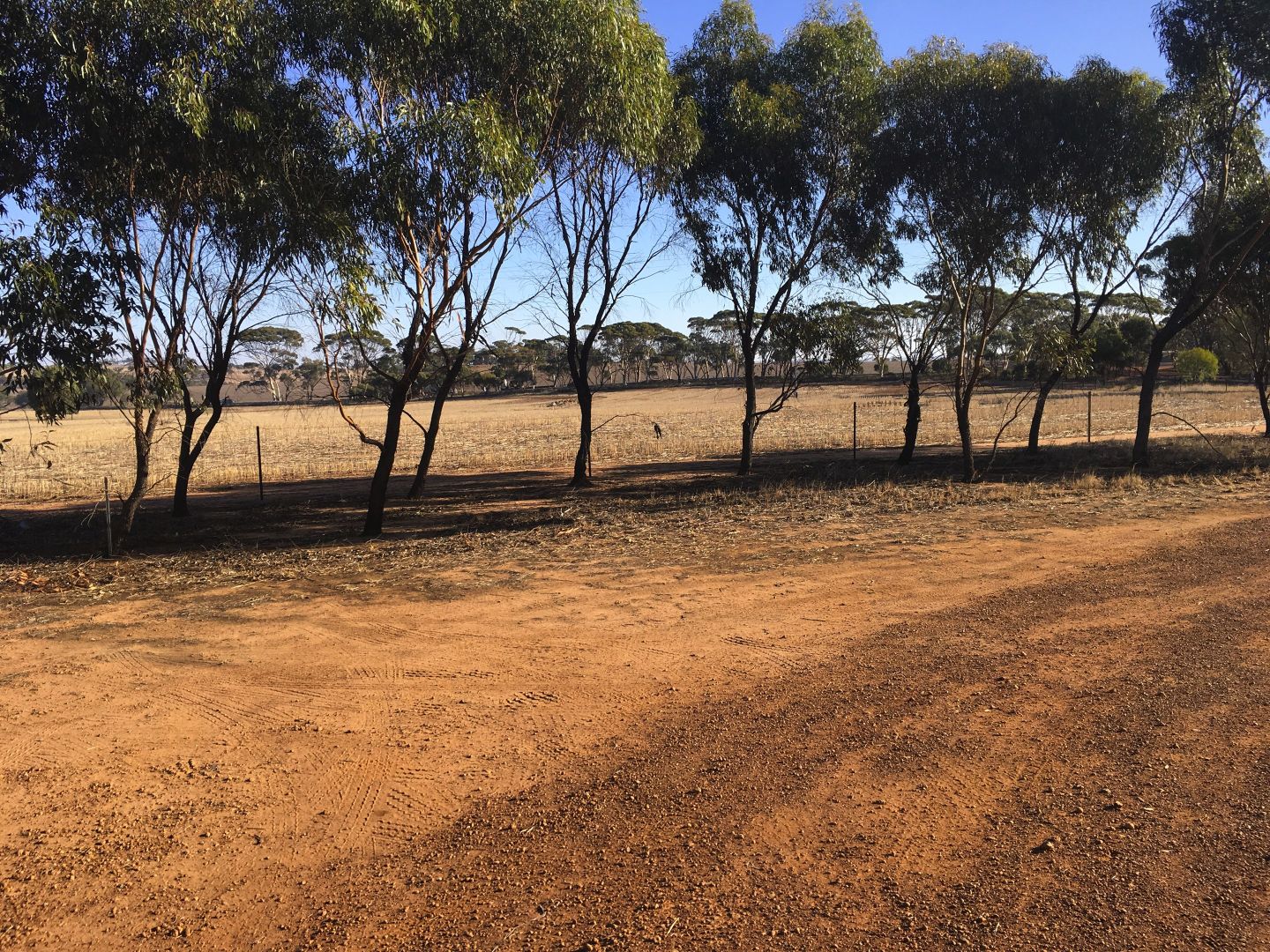 19913 Salmon Gum Way, Goomalling WA 6460 Vacant Land for Sale 225,000