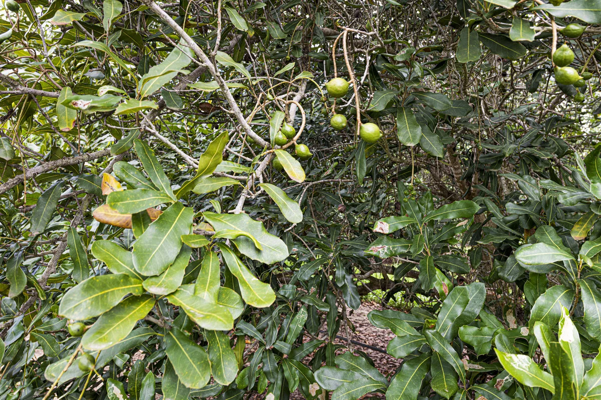 Image 8