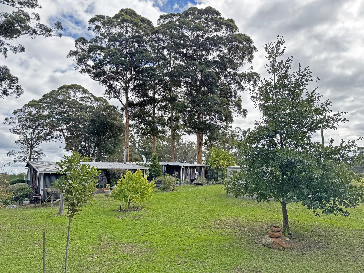 Image 13