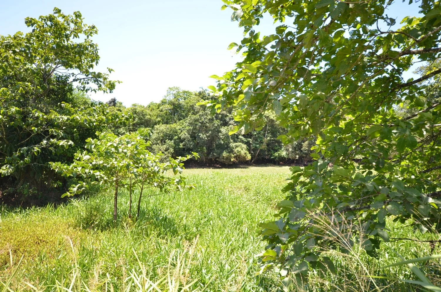 Image 13