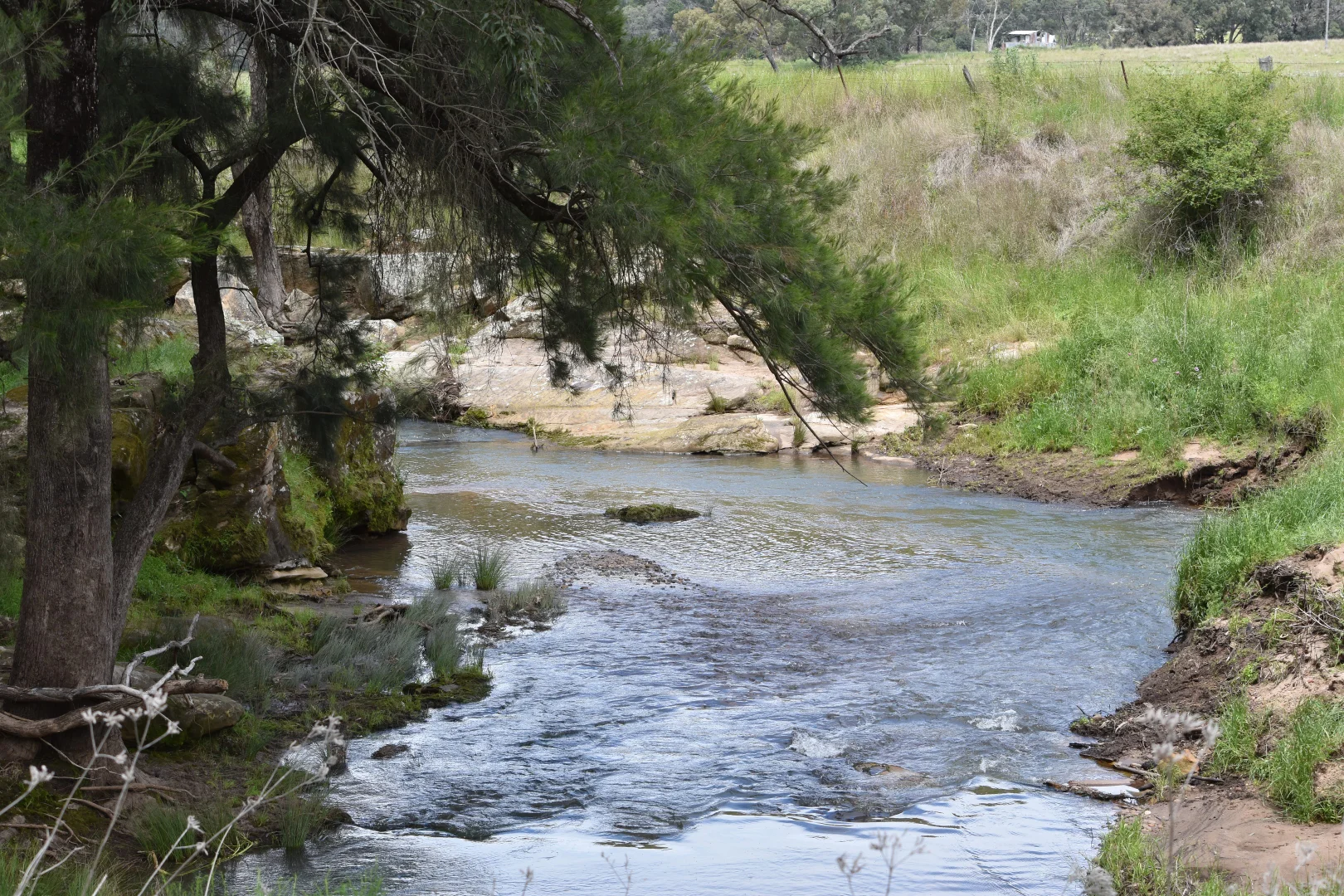 Image 15