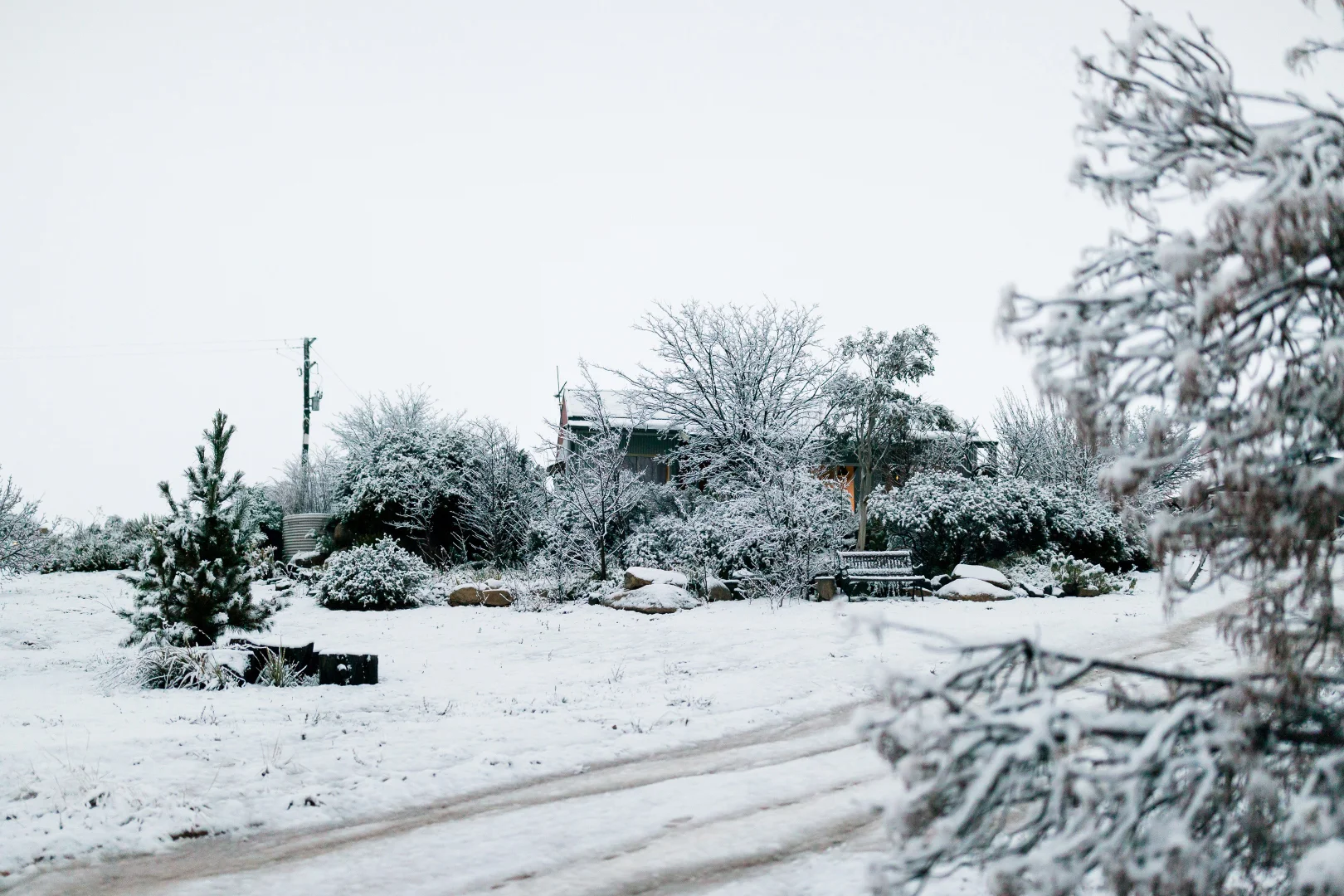 Additional image 30 of 5199 The Snowy River Way, Dalgety NSW 2628