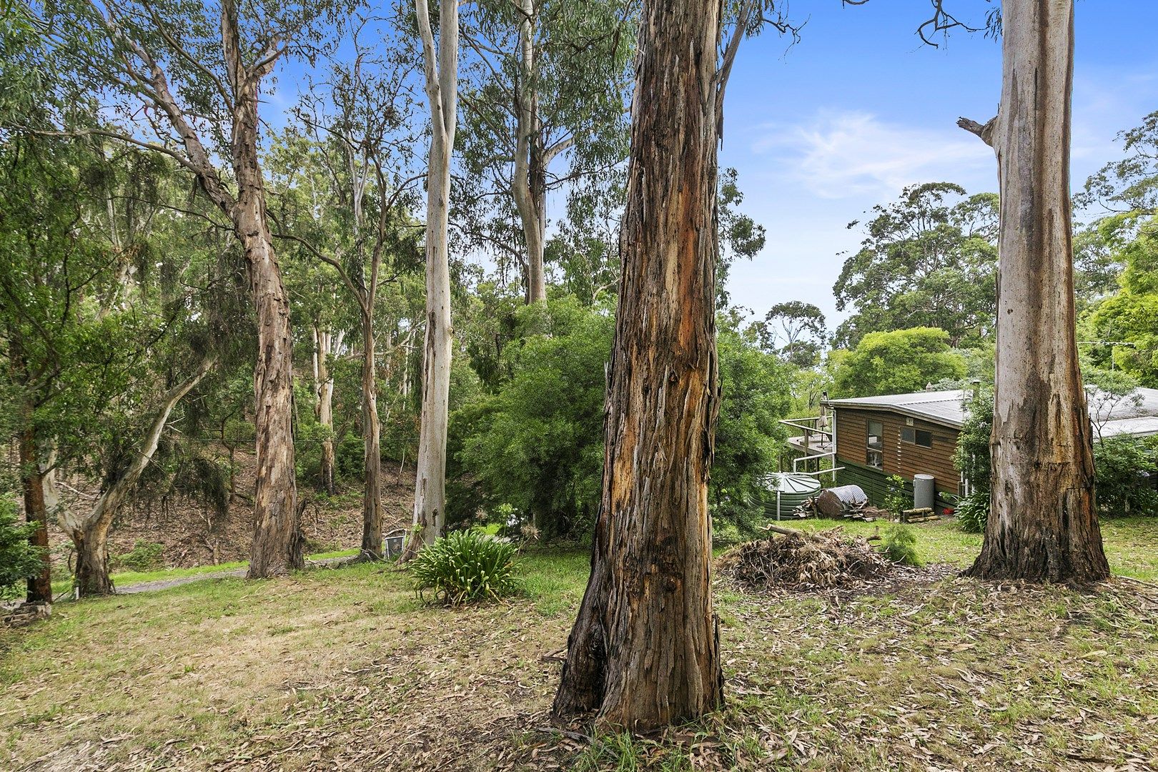 18 Cassidy Drive, Kennett River VIC 3234, Image 0