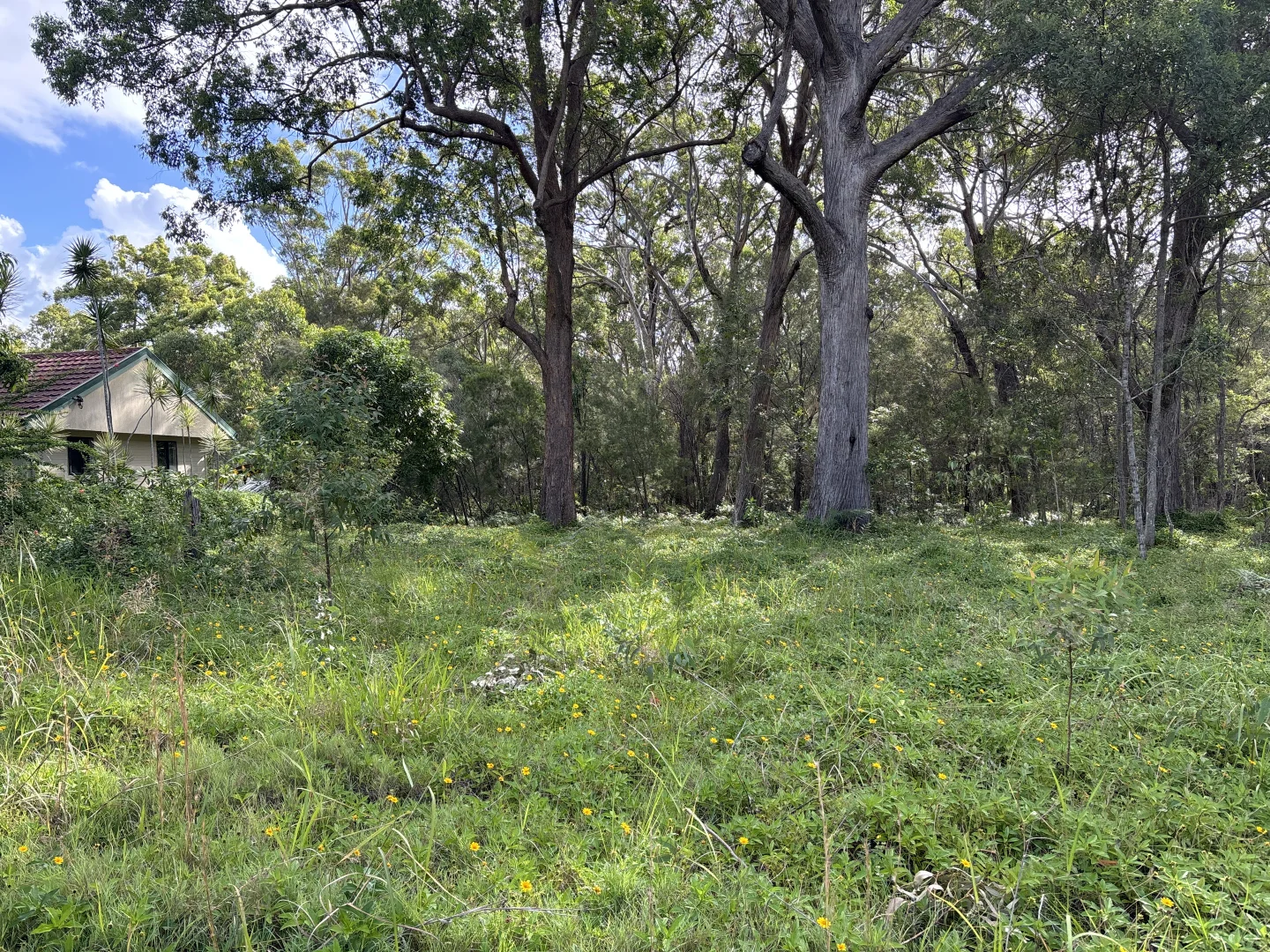 Additional image 2 of 26 Jasper Street, Russell Island QLD 4184