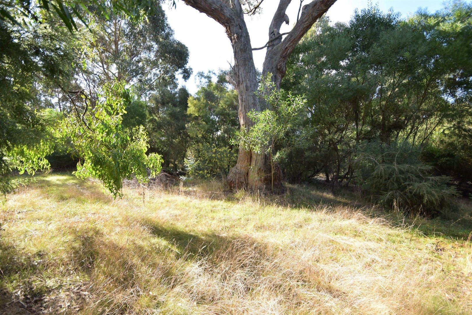 Lot 16 Rarkang Road, Silverton SA 5204, Image 0