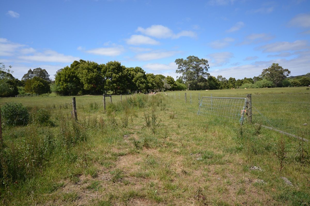 Lavers Hill - Cobden Rd, Chapple Vale VIC 3239, Image 1