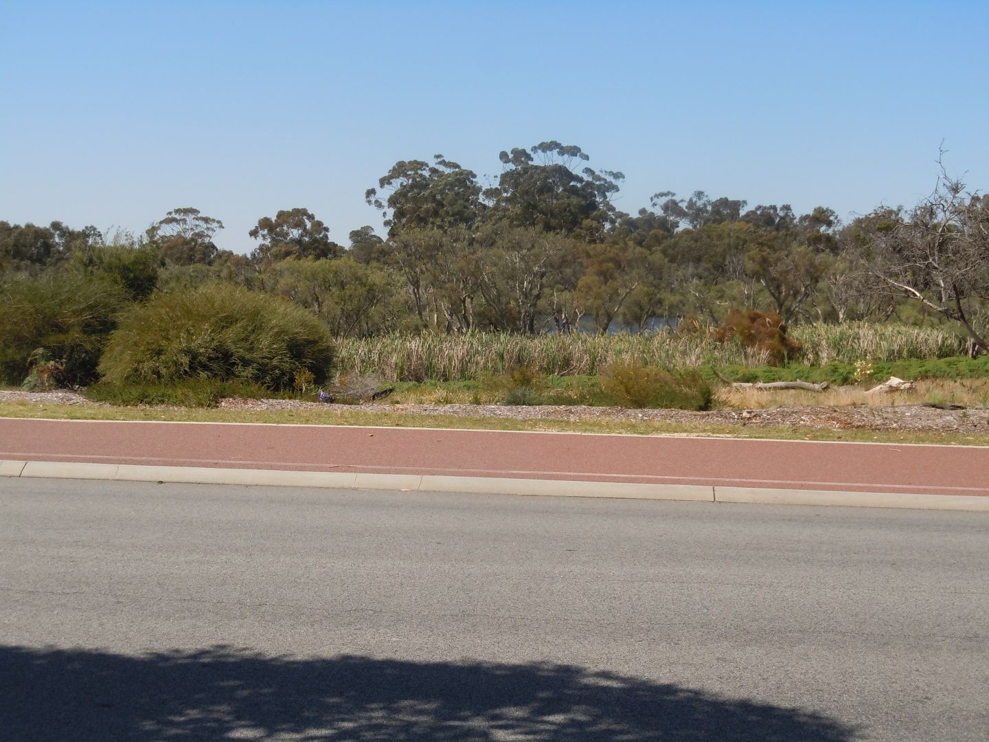 Lot 1/39 Fern Road, Wilson WA 6107, Image 2