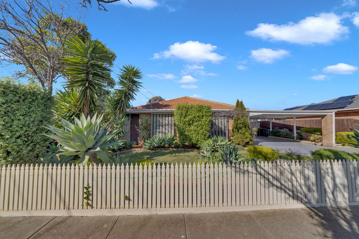 31 Shane Avenue, Seabrook VIC 3028 House For Rent Domain