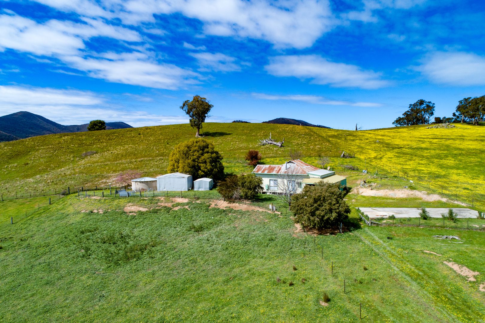 1540 Murray River Rd, Talgarno VIC 3691, Image 1