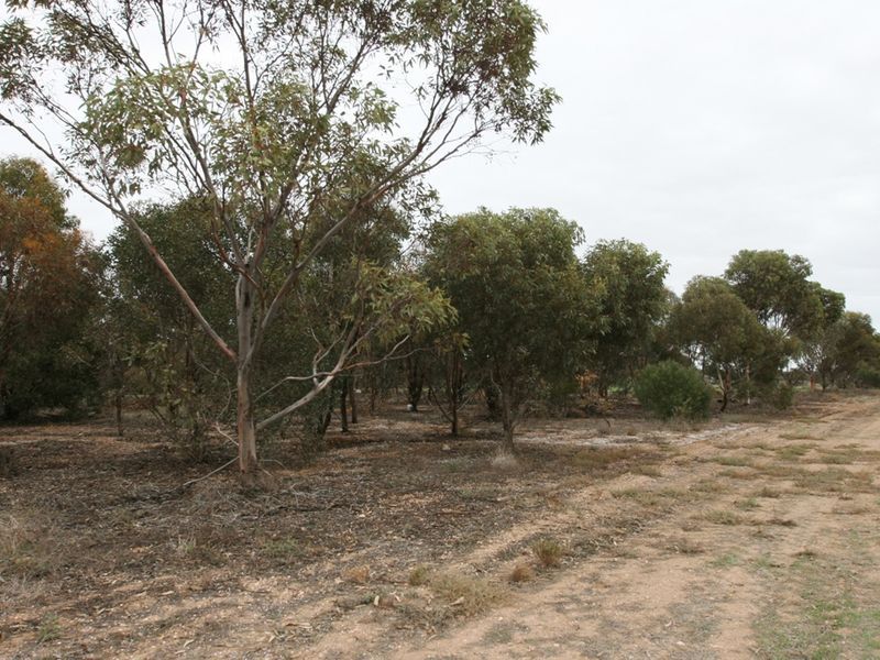 Lot 2 Laver Road, Kadina SA 5554, Image 0