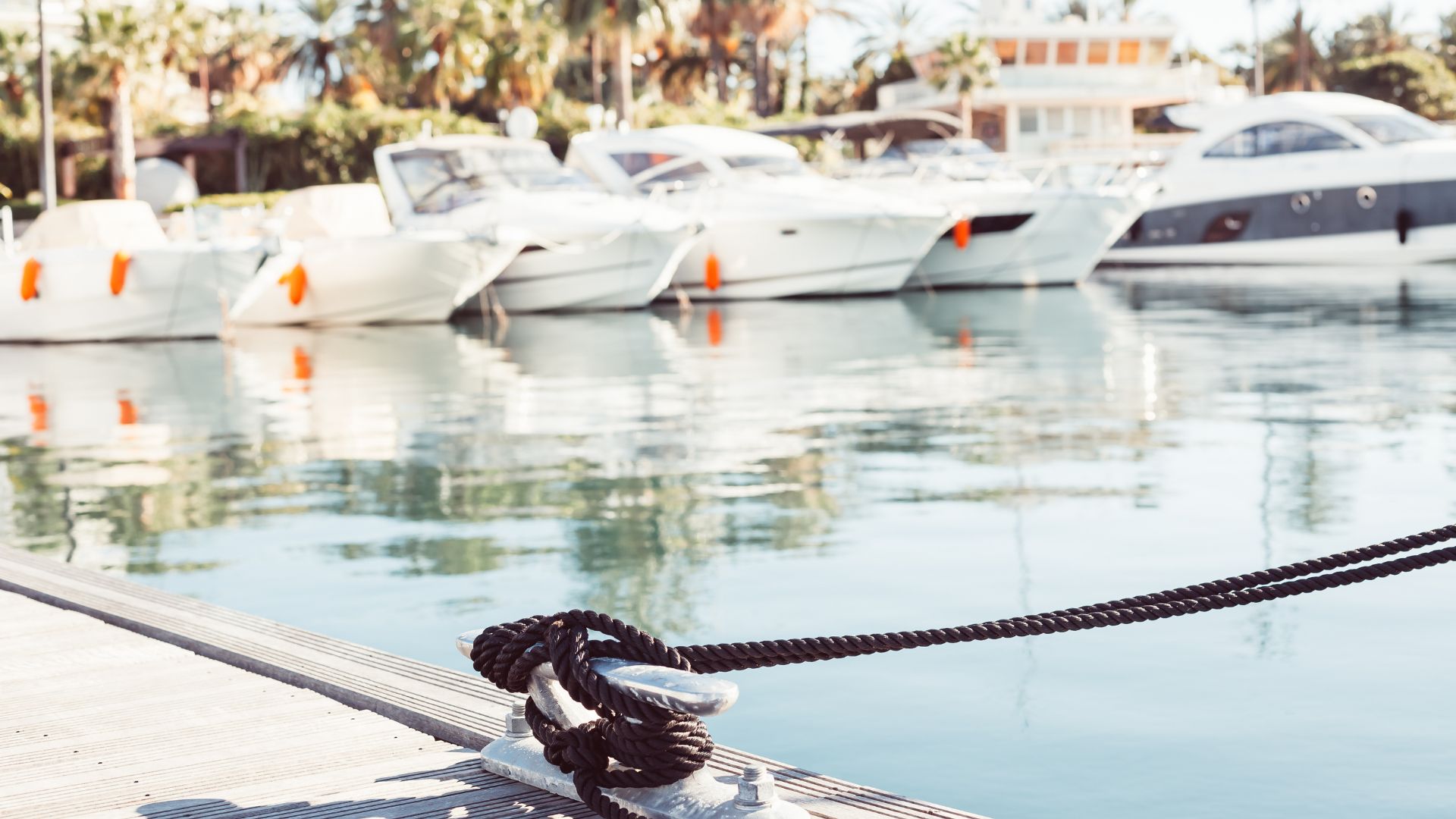 Hope Island QLD 4212 3 beds apartment for Sale, Hope Island New