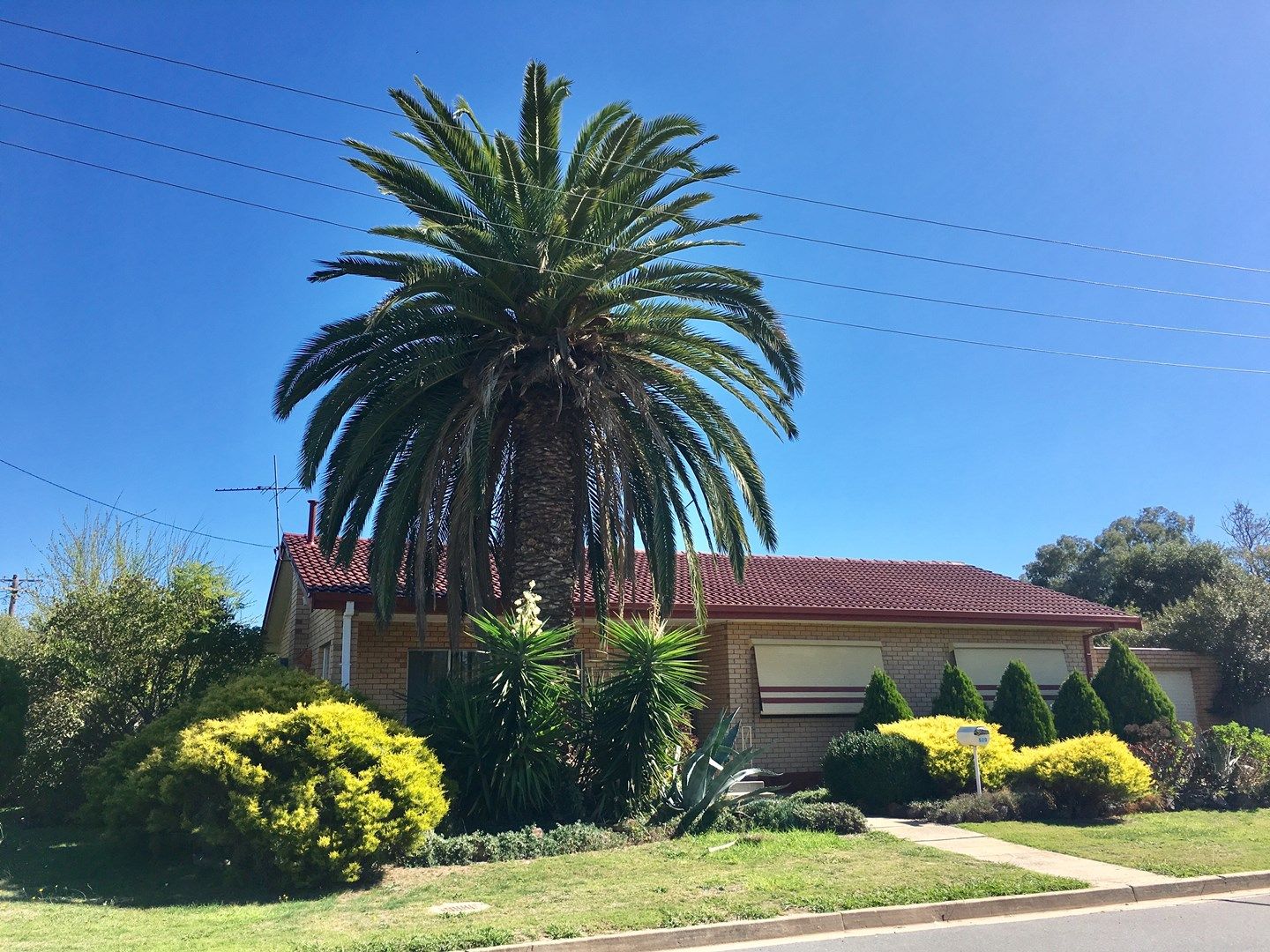 3 bedrooms House in 520 Mutsch Street LAVINGTON NSW, 2641