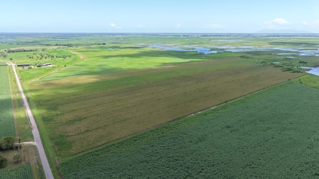 Additional image 20 of 162 Becker Road, Brandon QLD 4808