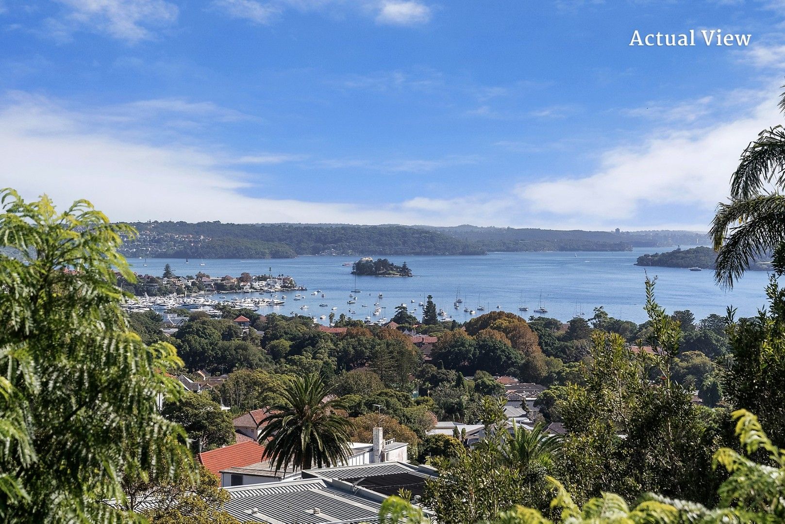 1 bedrooms Apartment / Unit / Flat in 8/85 Drumalbyn Road BELLEVUE HILL NSW, 2023