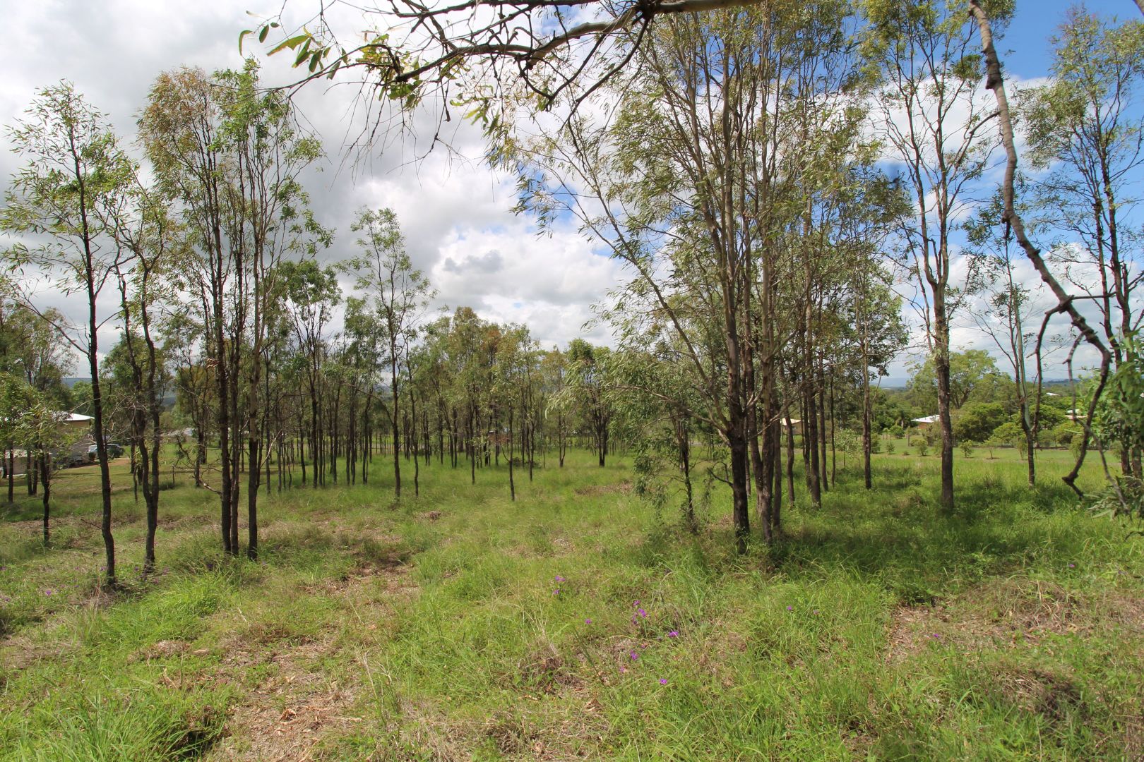 Lot 701 McConnel Street, Braemore QLD 4313, Image 1
