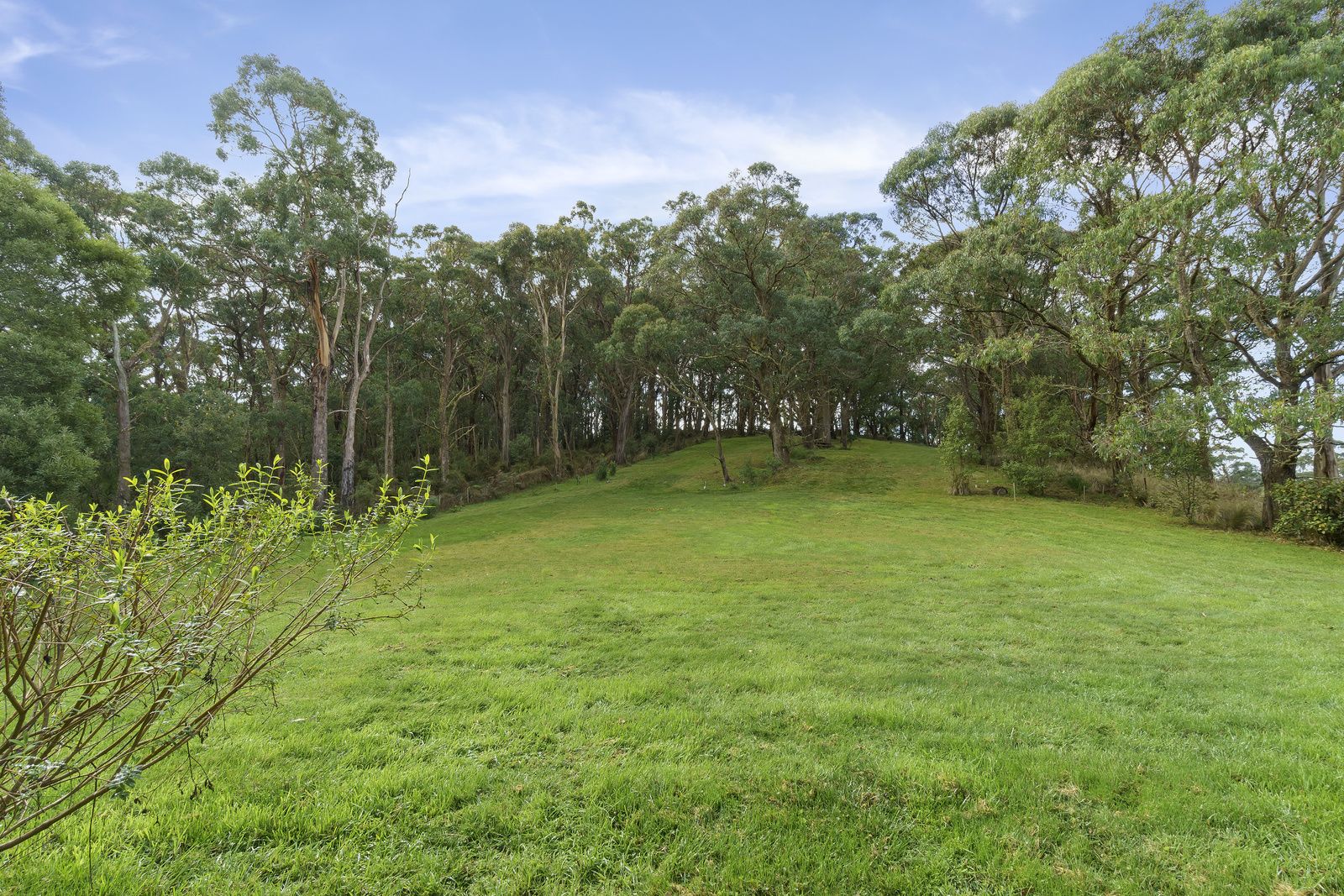 650 Parkers Road, Deans Marsh VIC 3235, Image 1