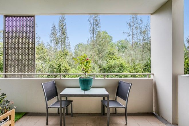 54 Rental Properties In Warriewood Beach Nsw 2102 Domain