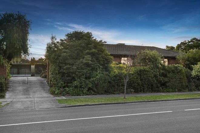 Picture of 81 Renou Road, WANTIRNA SOUTH VIC 3152