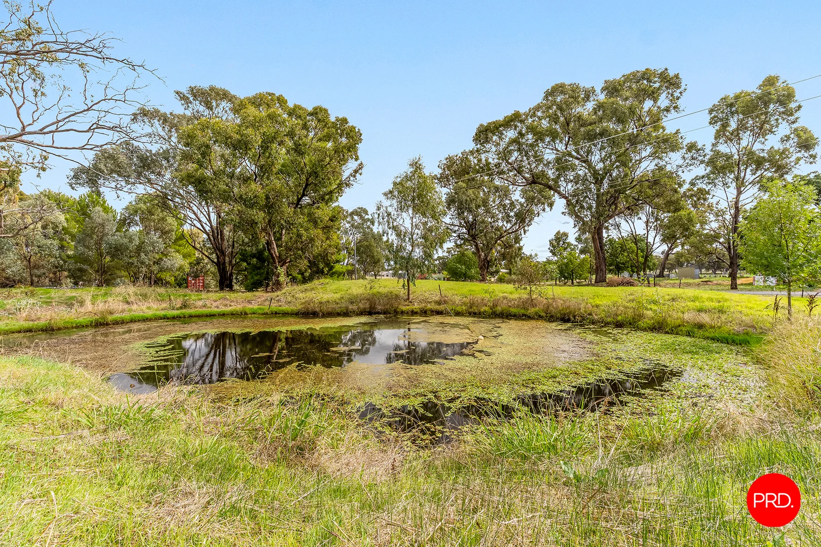 Additional image 14 of 115 Wilsons Hill Road, Marong VIC 3515