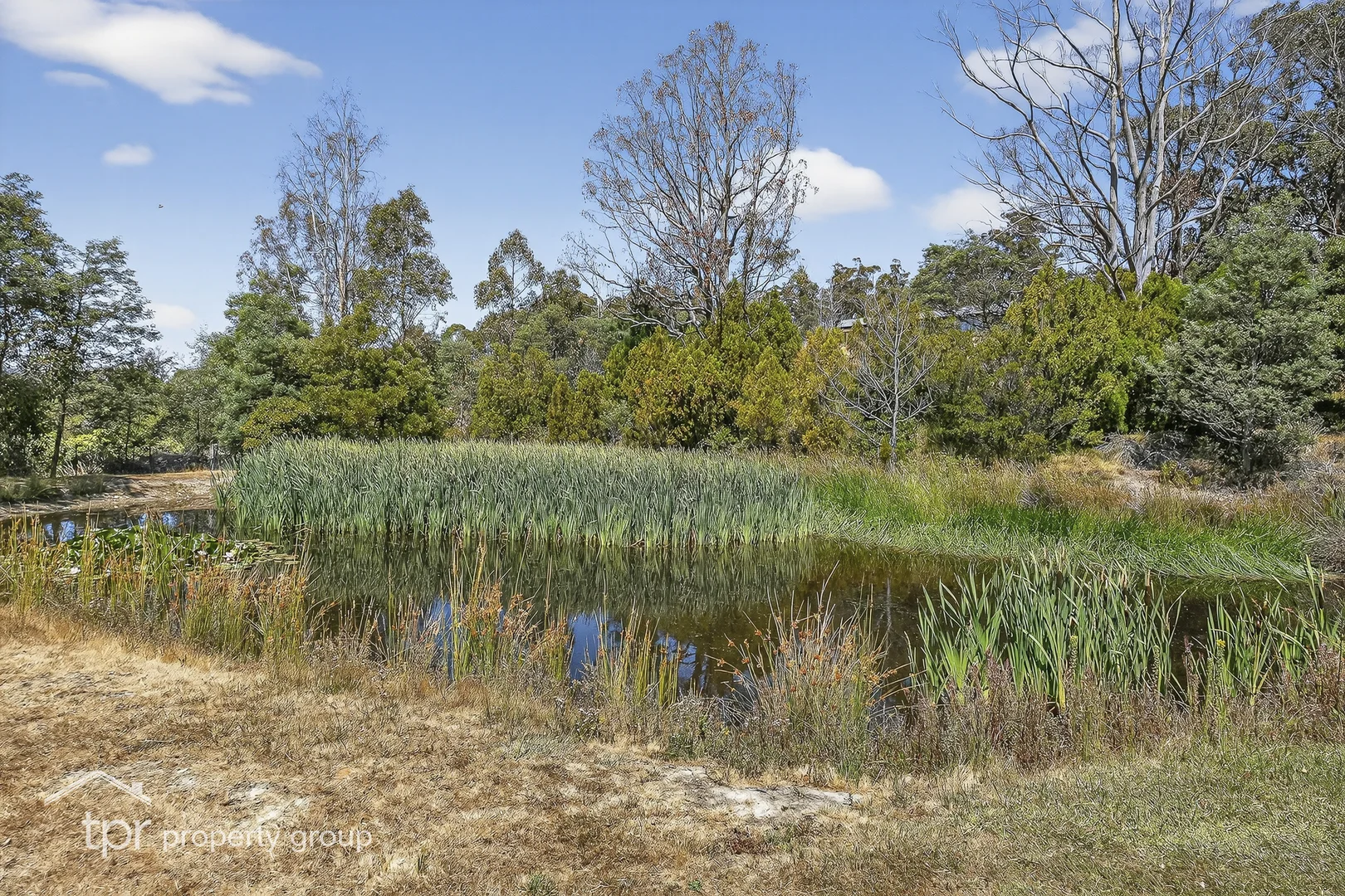 Image 32
