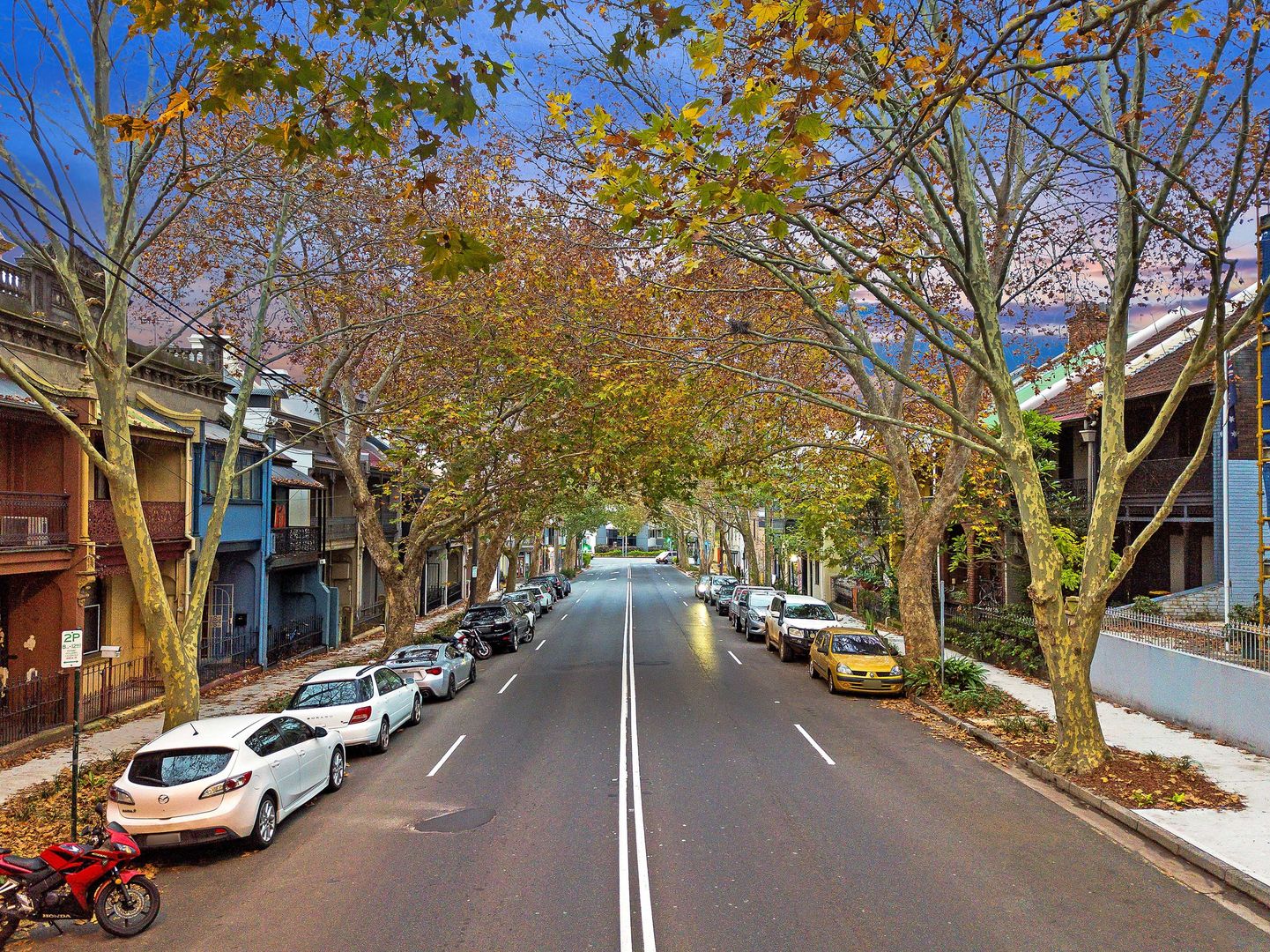 292 South Dowling Street, Paddington NSW 2021, Image 2