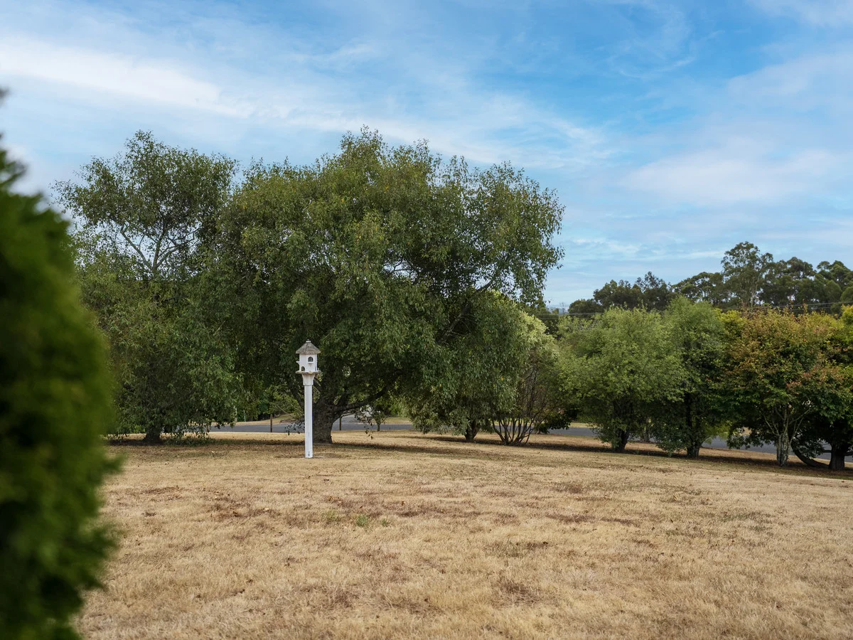 Image 26