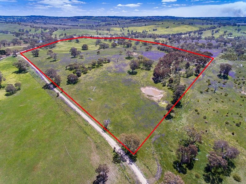 Lot 14/299 Collins Road, Tungkillo SA 5236, Image 2