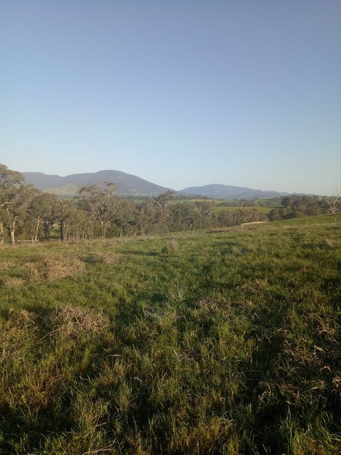 170 Back Creek Road, Yackandandah VIC 3749, Image 0