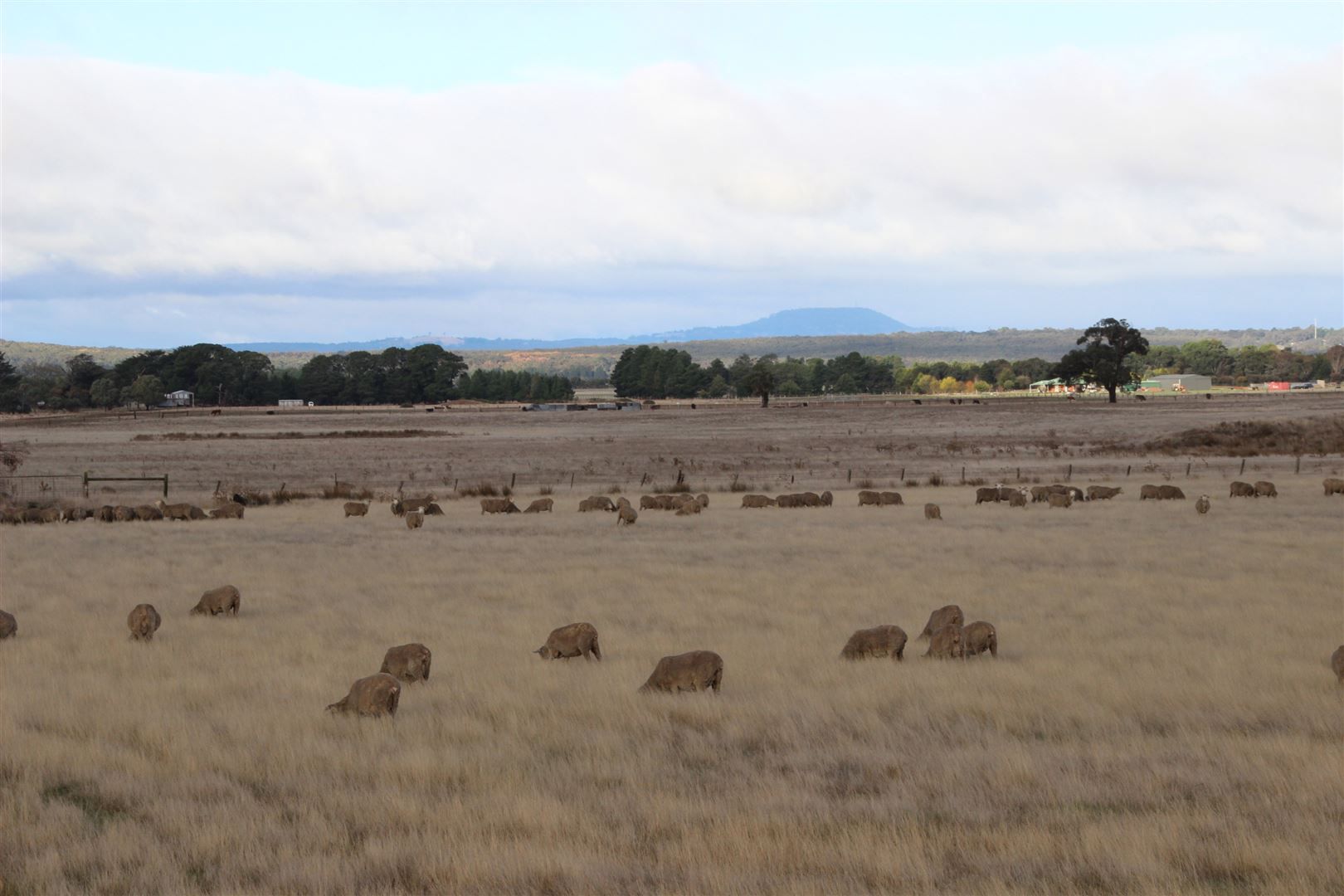 . Ballarat-Carngham Road, Haddon VIC 3351, Image 2