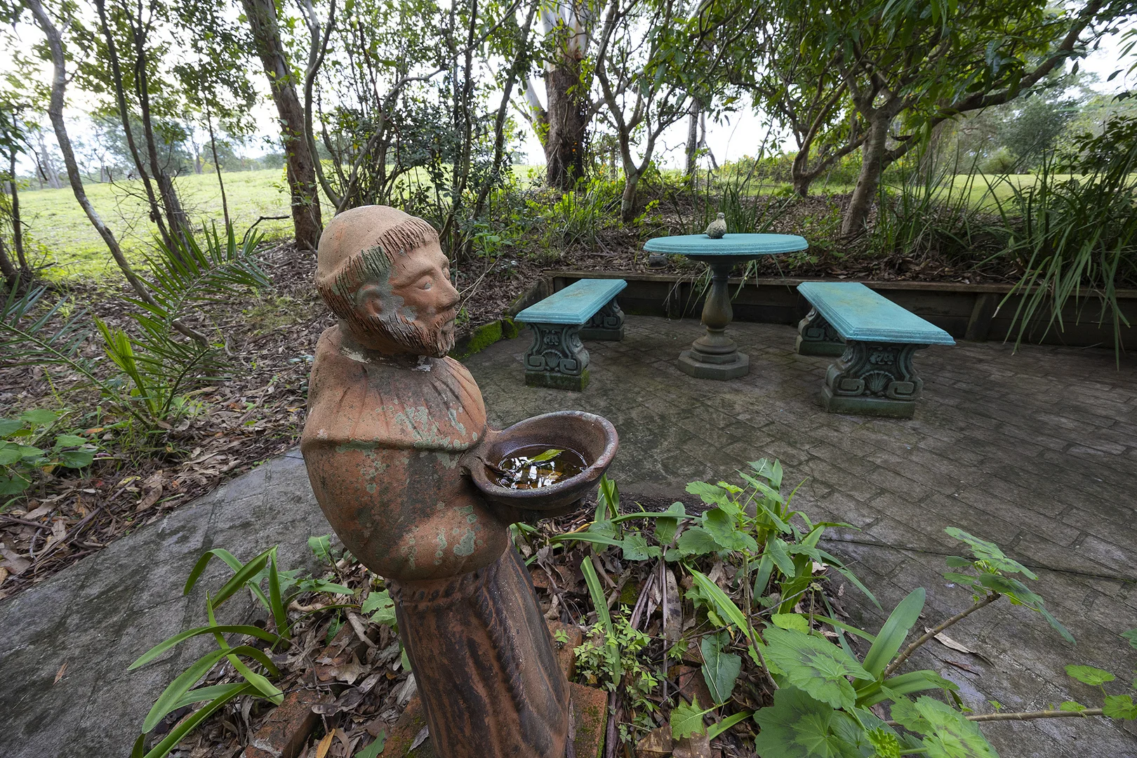 Image 24
