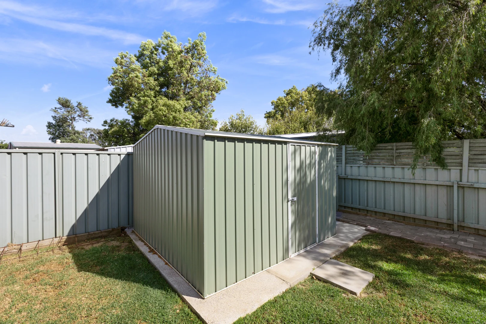 Image 11