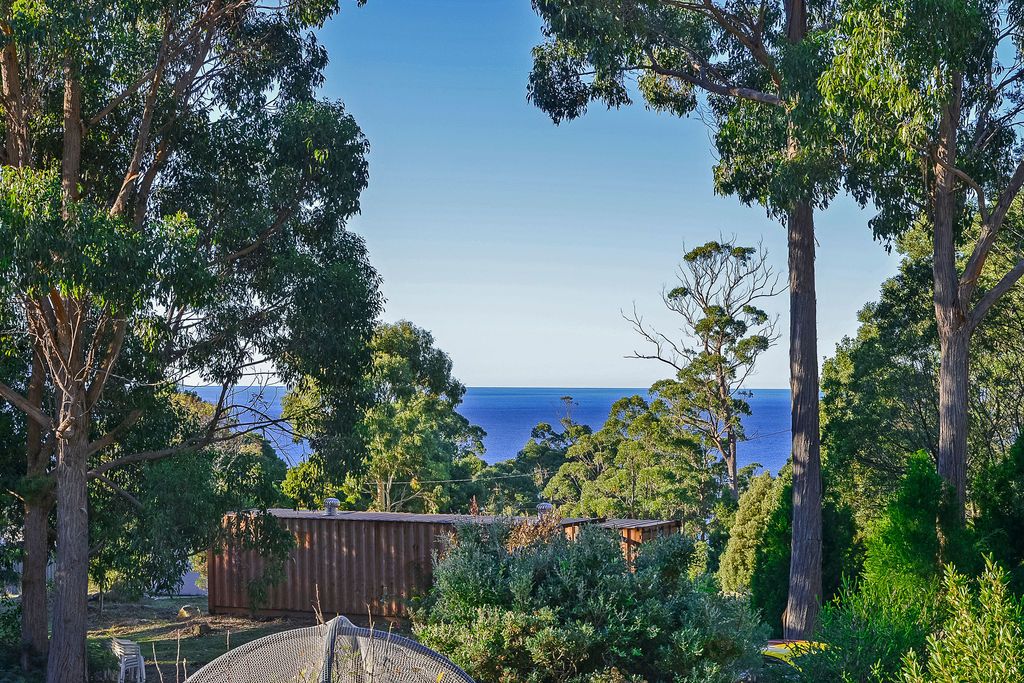 46 Waterfall Bay Road, Eaglehawk Neck TAS 7179, Image 1