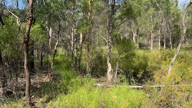 Image 8