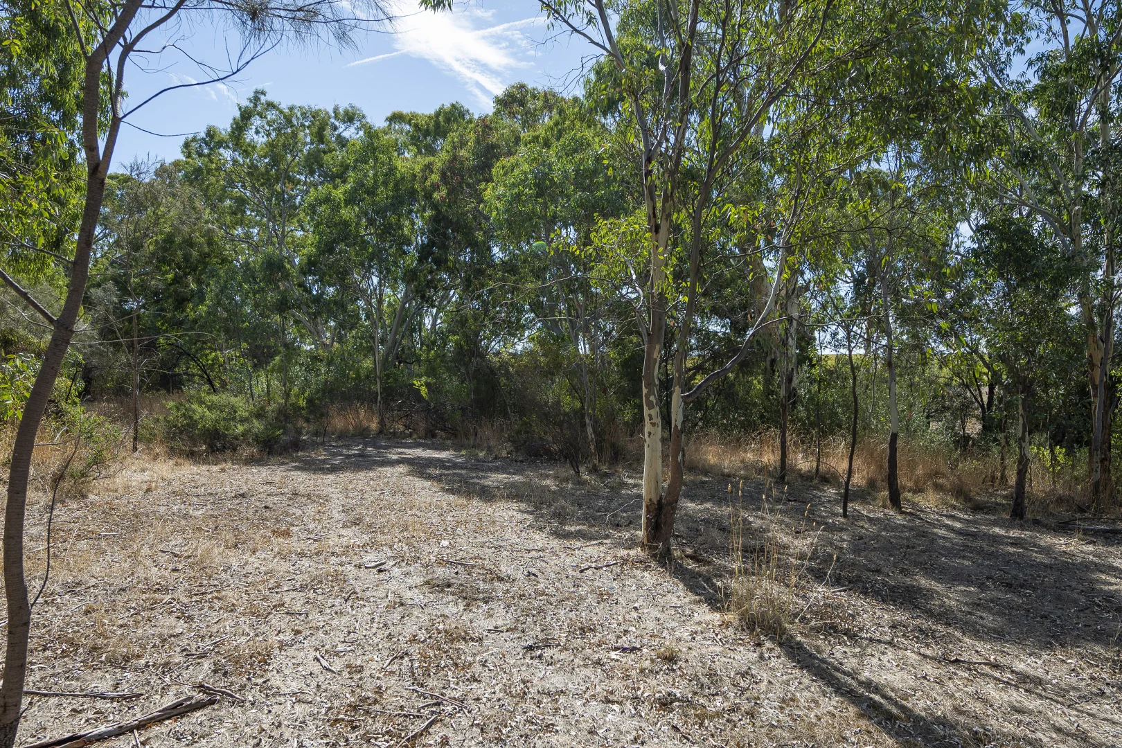 Additional image 11 of 163 McLaren Flat Road, McLaren Flat SA 5171