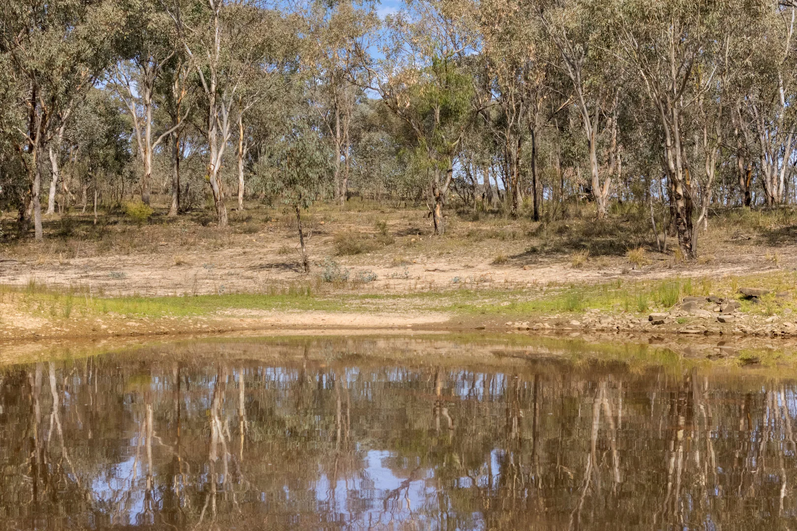 Additional image 3 of 74 Honners Road, Mudgee NSW 2850