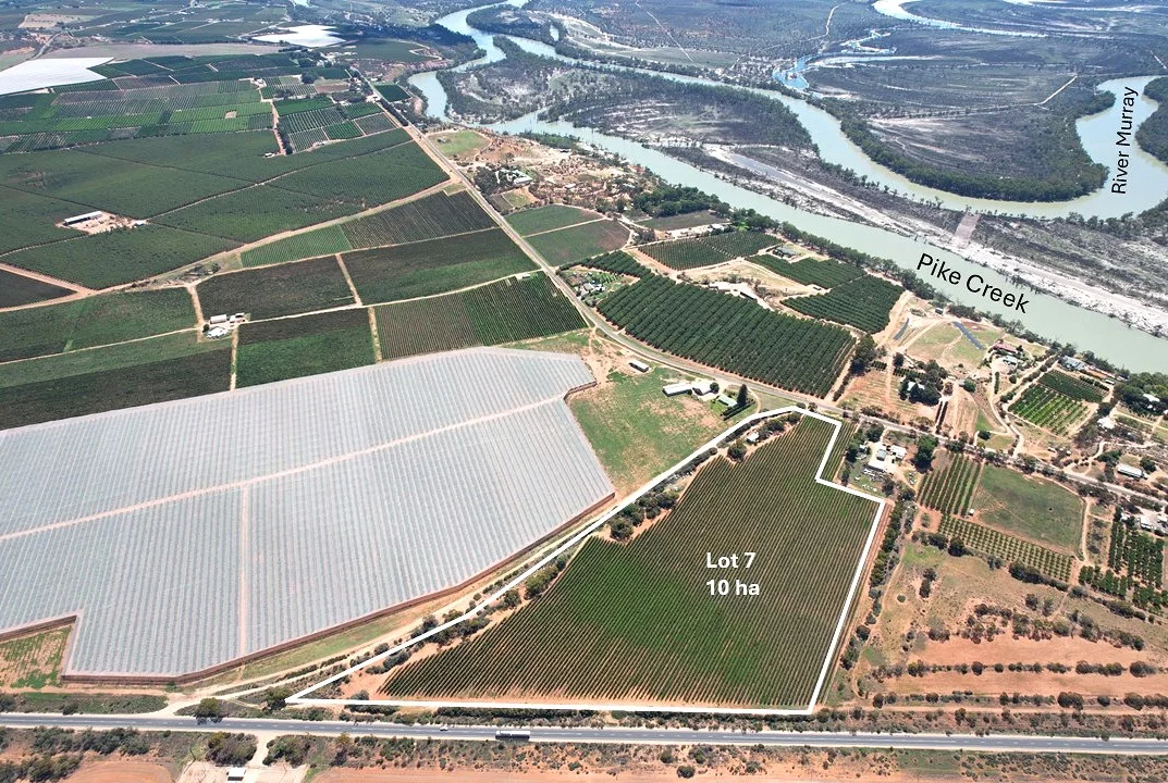 Lot 7 Pike Creek Road, Lyrup SA 5343