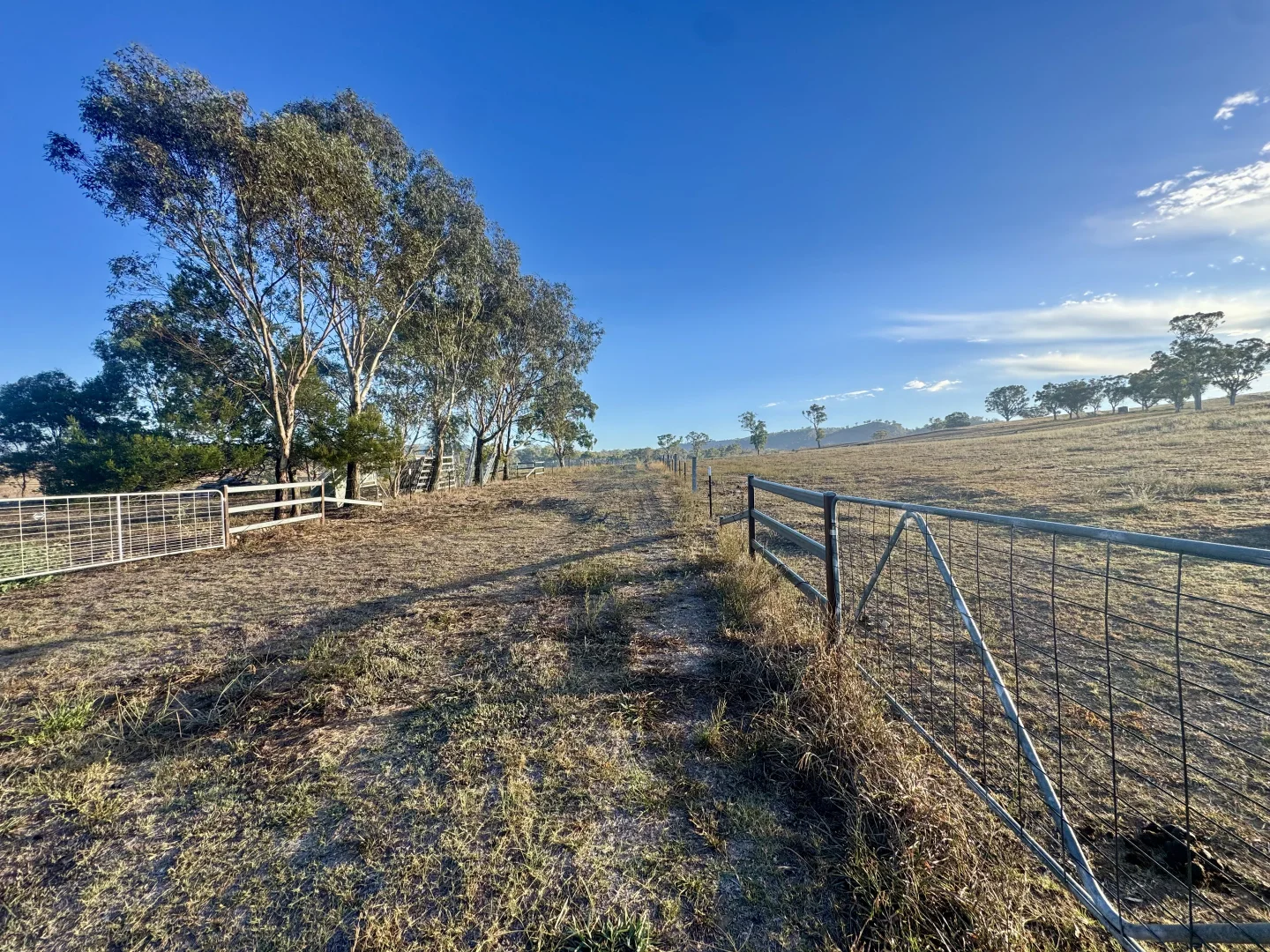 Additional image 13 of "Brentwood Park" 80 Sandy Creek Road, Blandford NSW 2338