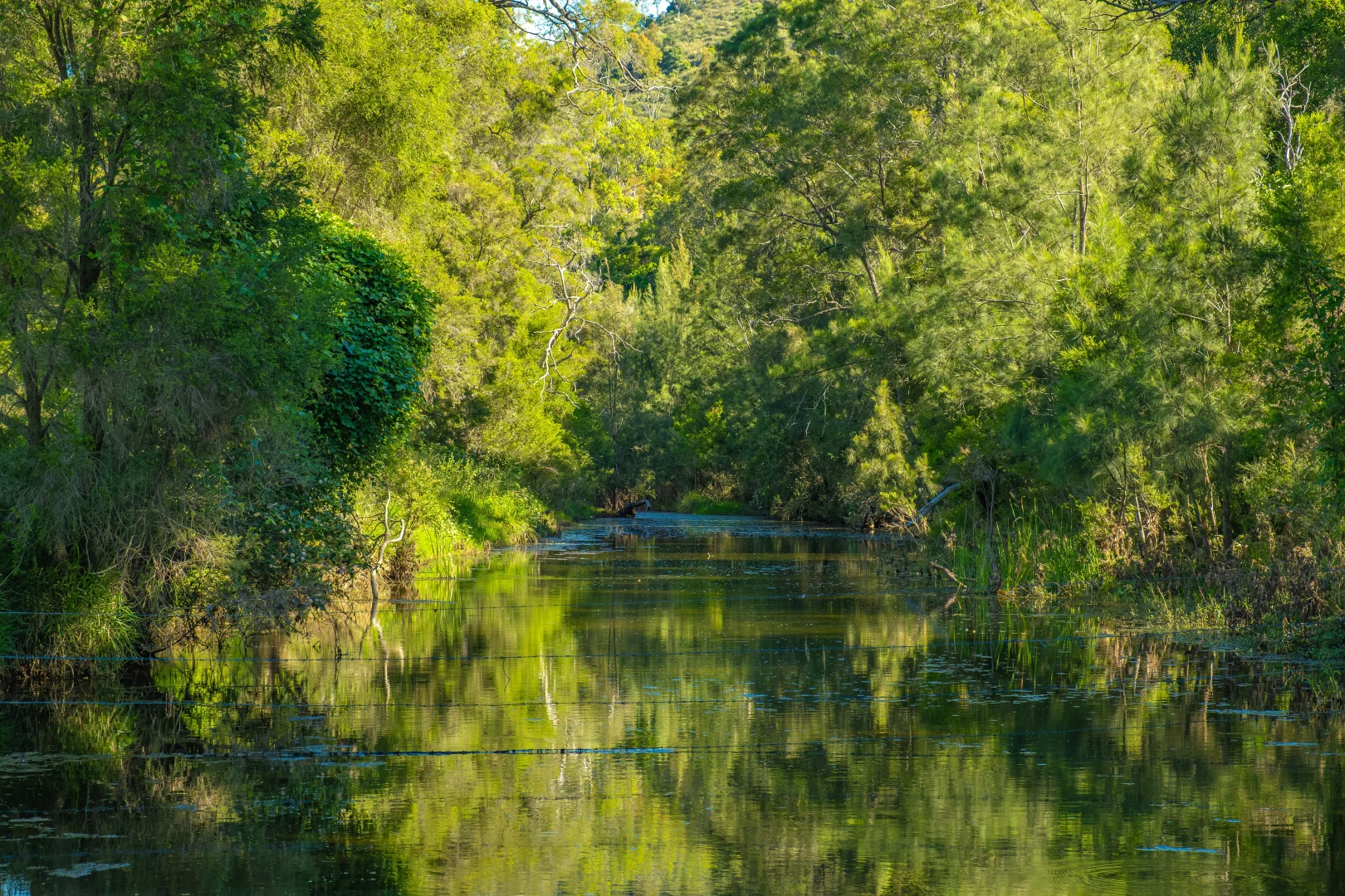 Additional image 21 of 878 Rossmore Road, Kilkivan QLD 4600