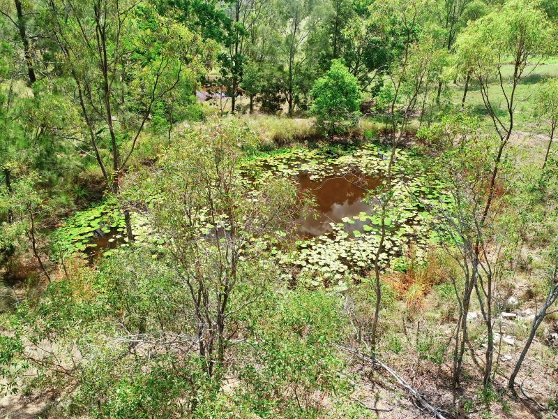 19 Benstead Court, Widgee QLD 4570, Image 2