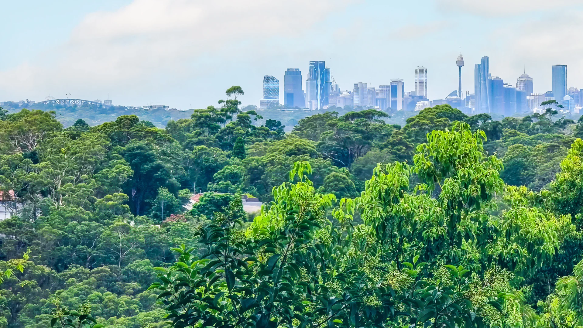 Additional image 16 of 46 Geoffrey Street, Turramurra NSW 2074