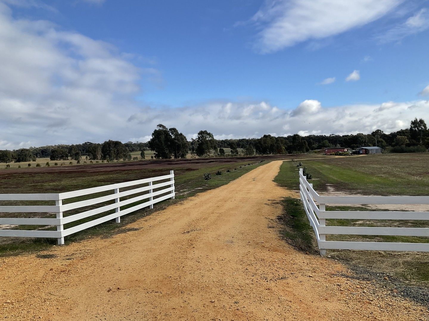 100 Murray Road, St Arnaud VIC 3478, Image 1