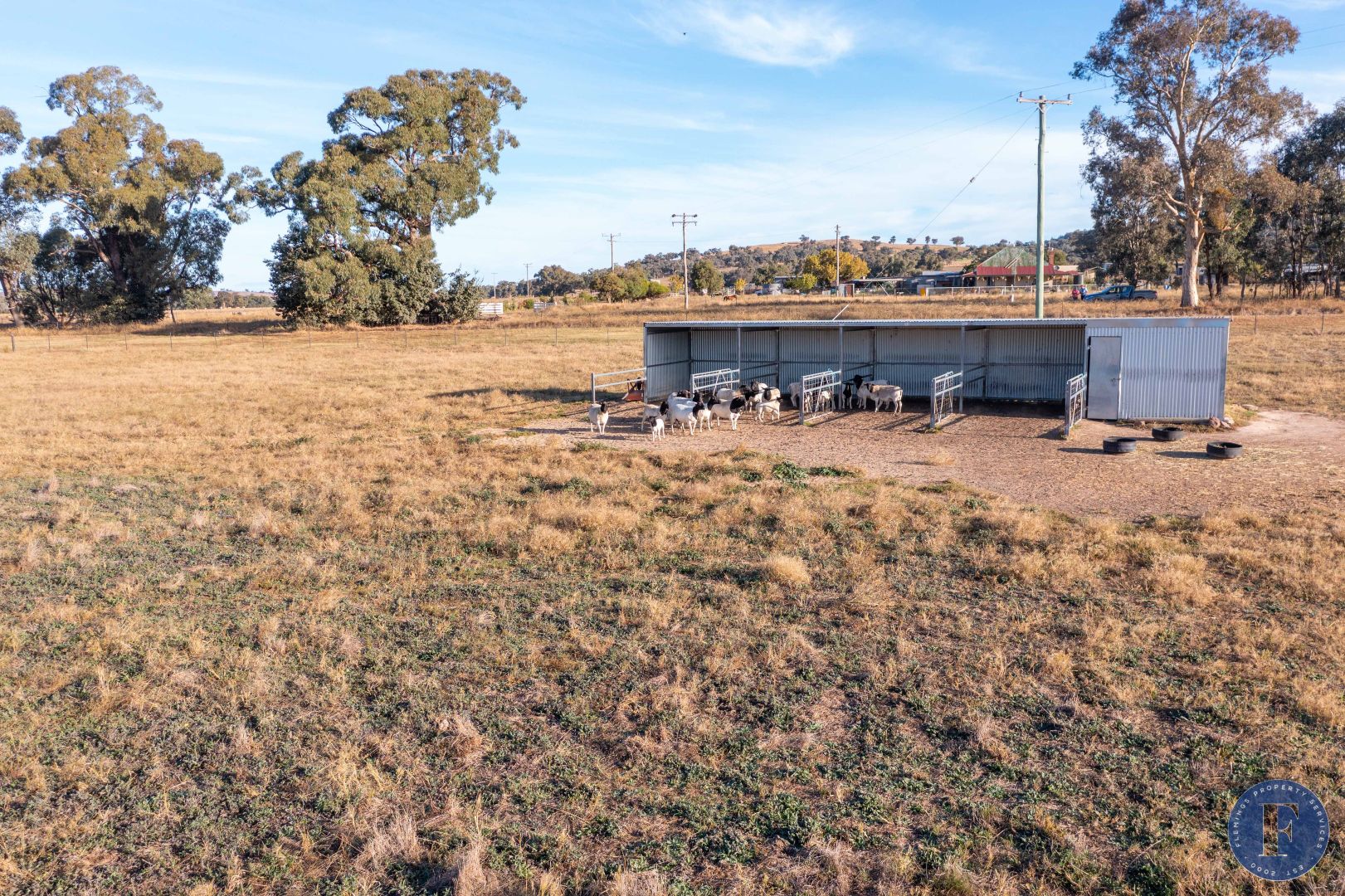 405 Back Brawlin Road, Cootamundra NSW 2590, Image 1