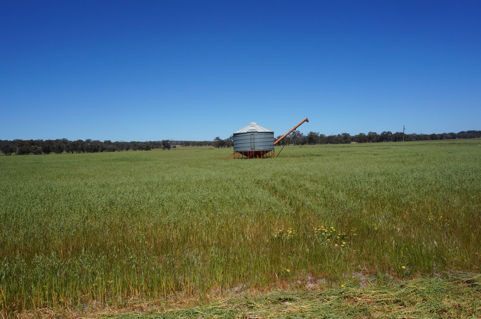 Lot 892 Kokendin Road, Beverley WA 6304, Image 1