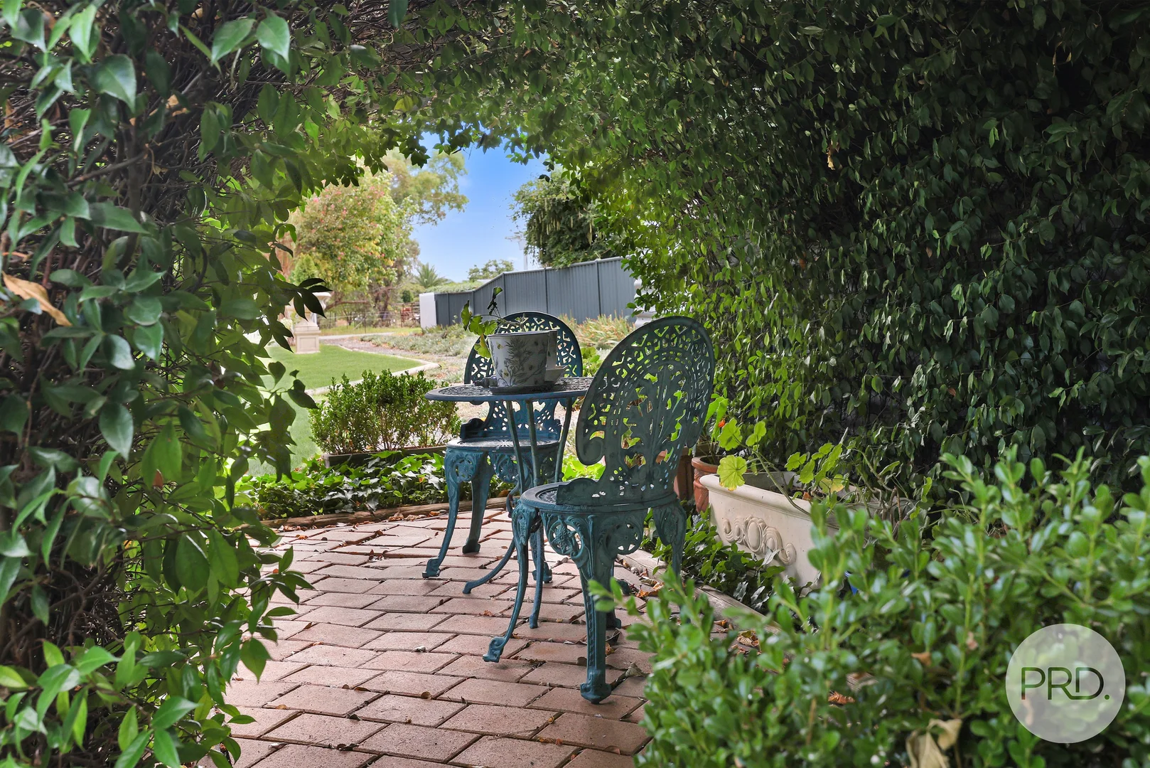 Image 15